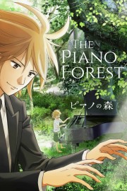 The Piano Forest-voll