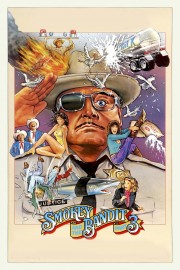 Smokey and the Bandit Part 3-voll
