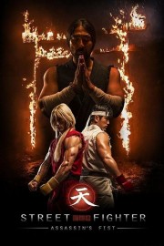 Street Fighter Assassin's Fist-voll