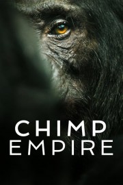 Chimp Empire-voll