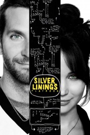 Silver Linings Playbook-voll