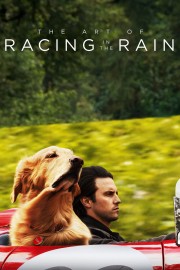The Art of Racing in the Rain-voll