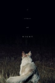 It Comes at Night-voll