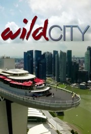 Wild City-voll