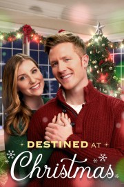Destined at Christmas-voll