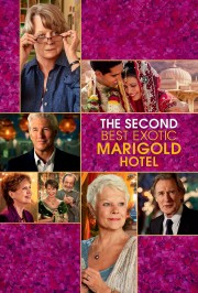 The Second Best Exotic Marigold Hotel-voll