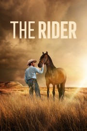 The Rider-voll