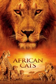 African Cats-voll