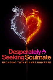 Desperately Seeking Soulmate: Escaping Twin Flames Universe-voll