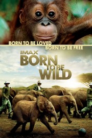 Born to Be Wild-voll