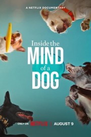 Inside the Mind of a Dog-voll