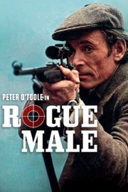 Rogue Male-voll