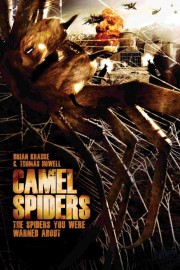 Camel Spiders-voll