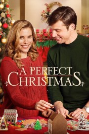 A Perfect Christmas-voll