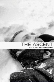 The Ascent-voll