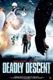 Deadly Descent-voll
