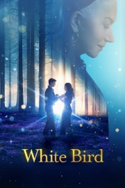 White Bird-voll