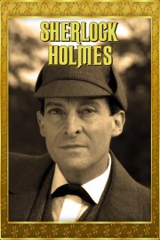 Sherlock Holmes-voll