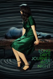 Long Day's Journey Into Night-voll