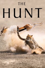 The Hunt-voll
