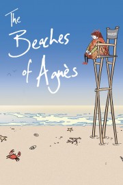 The Beaches of Agnès-voll