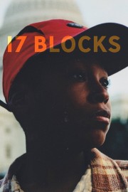 17 Blocks-voll