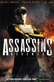 Assassins Revenge-voll