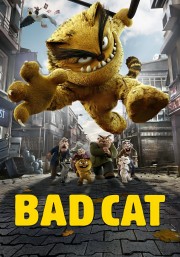 Bad Cat-voll