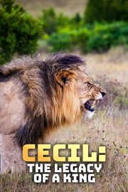Cecil: The Legacy of a King-voll