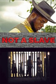 Not a Slave-voll