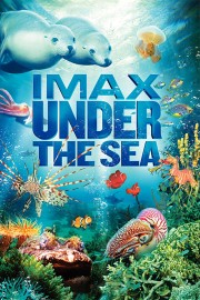 Under the Sea 3D-voll
