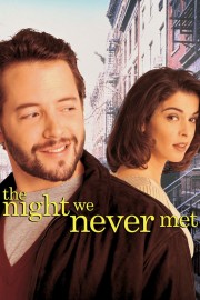 The Night We Never Met-voll