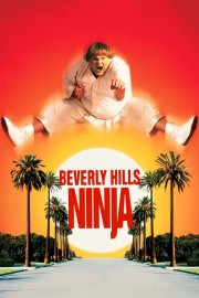 Beverly Hills Ninja-voll