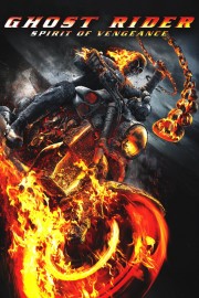 Ghost Rider: Spirit of Vengeance-voll