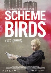 Scheme Birds-voll