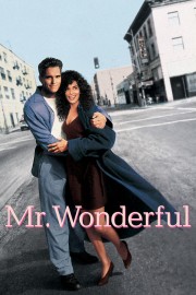 Mr. Wonderful-voll
