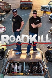 Roadkill-voll