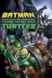 Batman vs. Teenage Mutant Ninja Turtles-voll