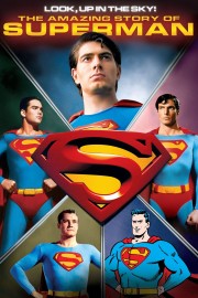 Look, Up in the Sky! The Amazing Story of Superman-voll