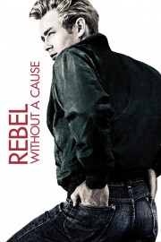 Rebel Without a Cause-voll