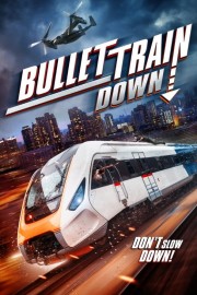 Bullet Train Down-voll