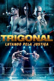 The Trigonal: Fight for Justice-voll