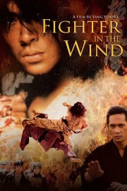 Fighter In The Wind-voll