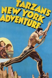 Tarzan's New York Adventure-voll