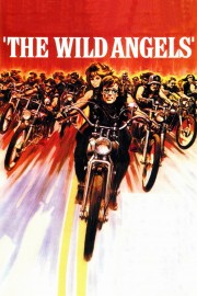 The Wild Angels-voll