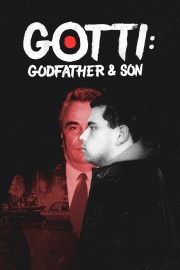 Gotti: Godfather and Son-voll