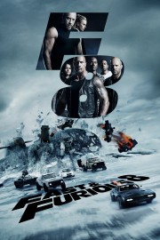 The Fate of the Furious-voll