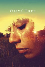 The Olive Tree-voll