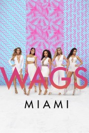 WAGS Miami-voll