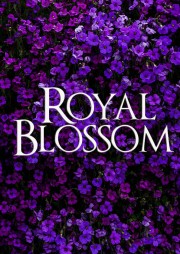 Royal Blossom-voll